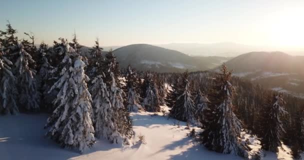 Desde gran altura cuento de hadas montaña paisaje nevado cubierto de picos agudos alpinos. Invierno salvaje en las montañas Cárpatas, Ucrania. Nubes blancas gruesas. Espacio abierto. Aéreo 4K — Vídeo de stock