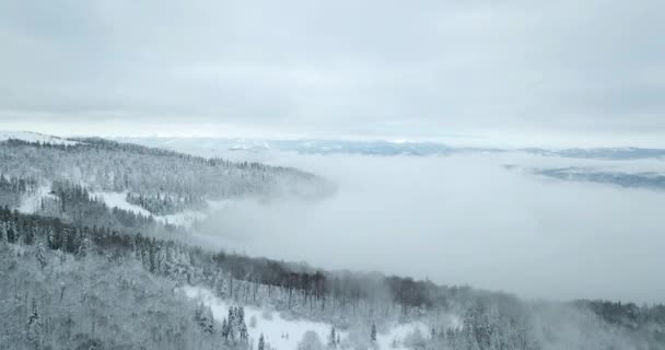 높이 솟은 산등성 이 의 눈 이 산봉우리들을 덮고 있었다. 우크라이나 카르파티아 산맥의 겨울. 짙은 흰 구름. 열린 공간. 항공 4K — 비디오