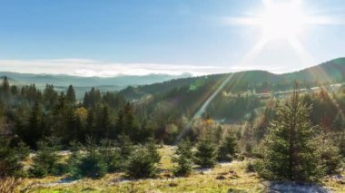Sabah erkenden güneşli bir orman. Güneş ilk dalları yararak havada güzel ışınlar oluşturur. Çimenler buz tutmuş. Karpat Dağları. Ukrayna