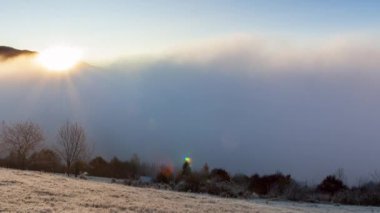Güneş dağın tepesinden yükselir, sis hareket eder ve yaz sabahı dağlarda şafakta yükselir. Sabah sisi dağlarda dağılır Karpatlar. Doğa manzarası, doğal manzara, kırsal alan.