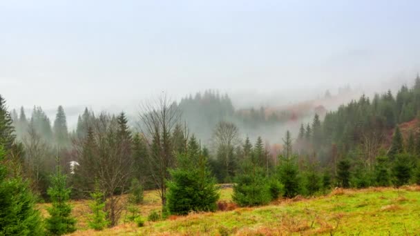 Ucrânia, Cárpatos. Tempo de nevoeiro da manhã nas montanhas do outono. Paisagem com montanhas nevadas e neblina. — Vídeo de Stock