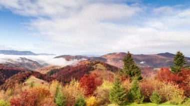 Muhteşem sonbahar manzarası güzel mavi gökyüzü ve görkemli bulutlar Orman Günbatımı Orman Ormanı Güzel Mevsim Ormanı Sunset Ormanı Turuncu Renkler Ruhsal İlham Tatil Kavramı