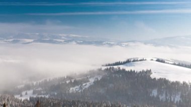 Kış ormanı anteninde gün doğumu. Donuk hiç kimse doğa manzarası. Alp karı sabah sisinde ağaçları kapladı. Nefes kesici doğal güzellik. Güneş pembe ışıkta doğar. Çam Ormanı.