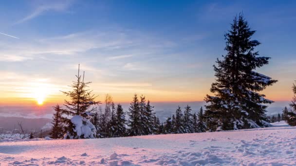 山の中で美しい冬の風景。太陽がモミの木の枝を覆って雪を突破します。新雪の厚い層で覆われた地面や木 — ストック動画