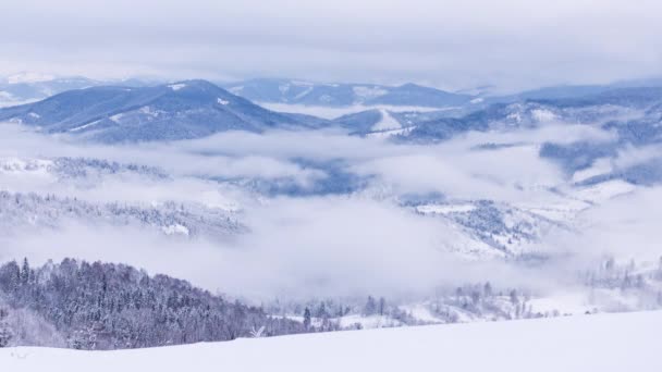 Da grande altezza paesaggio montano fiabesco innevato cime alpine taglienti. Inverno selvaggio natura incontaminata inaccessibile Russia Svizzera Alpi astratte. Nuvole bianche spesse. Spazio aperto. Aereo 4K — Video Stock