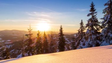 Dağlardaki güzel kış manzarası. Yükselen güneş, köknar ağacının karla kaplı dallarını delip geçer. Zemin ve ağaçlar kalın, yumuşak kar tabakalarıyla kaplı.
