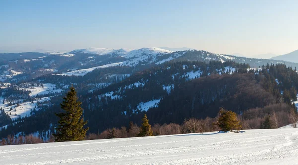 Güneşli bir günde harika bir kış manzarası. Güneş ışığı altında kar kaplı dağlarla kaplı kış manzarası. Popüler yürüyüş ve seyahat yerleri. Kış Harikalar Diyarı. Büyüleyici bir doğa geçmişi var. Karpat Dağları.