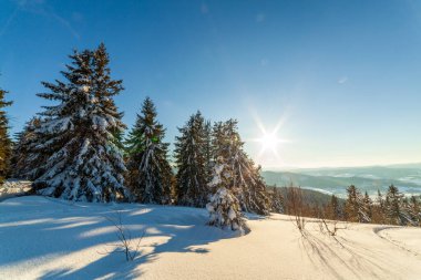 Güneş ışığıyla parlayan görkemli kış manzarası. Kış manzarası. Carpathian, Ukrayna, Avrupa. Güzellik dünyası. Mutlu yıllar.