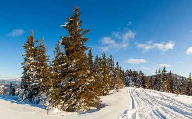 Güneşli bir günde harika bir kış manzarası. Güneş ışığı altında kar kaplı dağlarla kaplı kış manzarası. Popüler yürüyüş ve seyahat yerleri. Kış Harikalar Diyarı. Büyüleyici bir doğa geçmişi var. Karpat Dağları.
