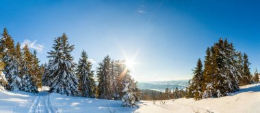 Güneş ışığıyla parlayan görkemli kış manzarası. Kış manzarası. Carpathian, Ukrayna, Avrupa. Güzellik dünyası. Mutlu yıllar.