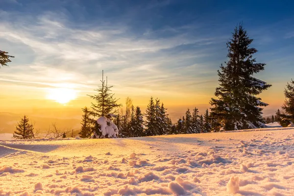 Güneş ışığıyla parlayan görkemli kış manzarası. Kış manzarası. Carpathian, Ukrayna, Avrupa. Güzellik dünyası. Mutlu yıllar. Telifsiz Stok Fotoğraflar