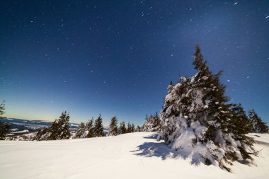 Karla kaplı ağaçlı büyülü kış manzarası. Yıldızlar, nebula ve galaksiyle dolu canlı bir gece göğü. Derin gökyüzü gökyüzü fotoğrafı.