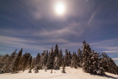 Karla kaplı ağaçlı büyülü kış manzarası. Yıldızlar, nebula ve galaksiyle dolu canlı bir gece göğü. Derin gökyüzü gökyüzü fotoğrafı.