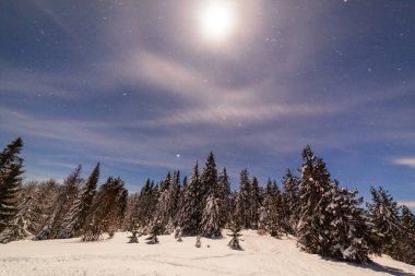 Karla kaplı ağaçlı büyülü kış manzarası. Yıldızlar, nebula ve galaksiyle dolu canlı bir gece göğü. Derin gökyüzü gökyüzü fotoğrafı.