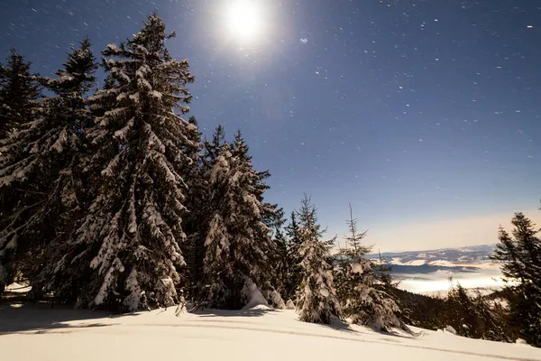 Paisagem mágica de inverno com árvore coberta de neve. Céu noturno vibrante com estrelas e nebulosa e galáxia. Céu profundo astrofoto. — Fotografia de Stock