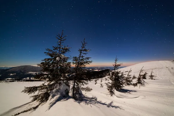 Karla kaplı ağaçlı büyülü kış manzarası. Yıldızlar, nebula ve galaksiyle dolu canlı bir gece göğü. Derin gökyüzü gökyüzü fotoğrafı.