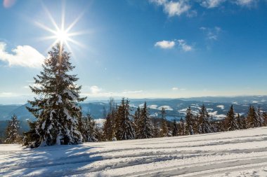 Güneş ışığıyla parlayan görkemli kış manzarası. Kış manzarası. Carpathian, Ukrayna, Avrupa. Güzellik dünyası. Mutlu yıllar.