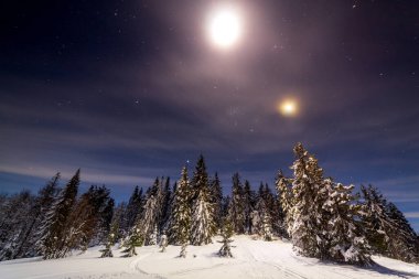 Karla kaplı ağaçlı büyülü kış manzarası. Yıldızlar, nebula ve galaksiyle dolu canlı bir gece göğü. Derin gökyüzü gökyüzü fotoğrafı.