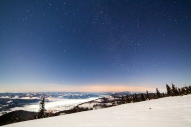 Karla kaplı ağaçlı büyülü kış manzarası. Yıldızlar, nebula ve galaksiyle dolu canlı bir gece göğü. Derin gökyüzü gökyüzü fotoğrafı.