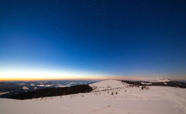 Karla kaplı ağaçlı büyülü kış manzarası. Yıldızlar, nebula ve galaksiyle dolu canlı bir gece göğü. Derin gökyüzü gökyüzü fotoğrafı.
