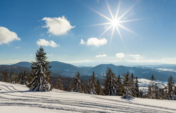 Maravilhosamente majestosa paisagem de inverno brilhando pela luz solar. cena invernal. Cárpatos, Ucrânia, Europa. Mundo da beleza. Feliz Ano Novo — Fotografia de Stock