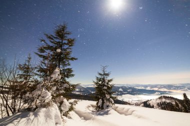 Karla kaplı ağaçlı büyülü kış manzarası. Yıldızlar, nebula ve galaksiyle dolu canlı bir gece göğü. Derin gökyüzü gökyüzü fotoğrafı.