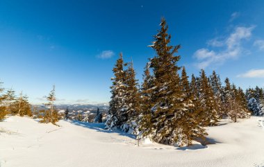 Güneşli bir günde harika bir kış manzarası. Güneş ışığı altında kar kaplı dağlarla kaplı kış manzarası. Popüler yürüyüş ve seyahat yerleri. Kış Harikalar Diyarı. Büyüleyici bir doğa geçmişi var. Karpat Dağları.