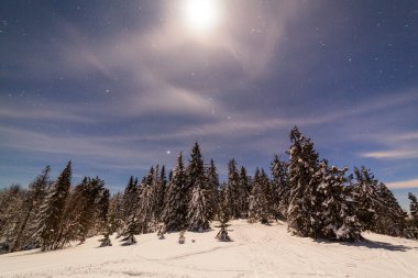 Karla kaplı ağaçlı büyülü kış manzarası. Yıldızlar, nebula ve galaksiyle dolu canlı bir gece göğü. Derin gökyüzü gökyüzü fotoğrafı.