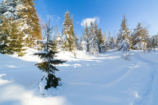 Csodálatos téli táj a napsütéses napokon. Téli táj hóval fedett hegy a napfény alatt. Népszerű turista és utazási hely. Téli csodaország. lenyűgöző természeti háttér. Kárpátok. — Stock Fotó
