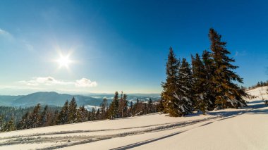 Güneş ışığıyla parlayan görkemli kış manzarası. Kış manzarası. Carpathian, Ukrayna, Avrupa. Güzellik dünyası. Mutlu yıllar.