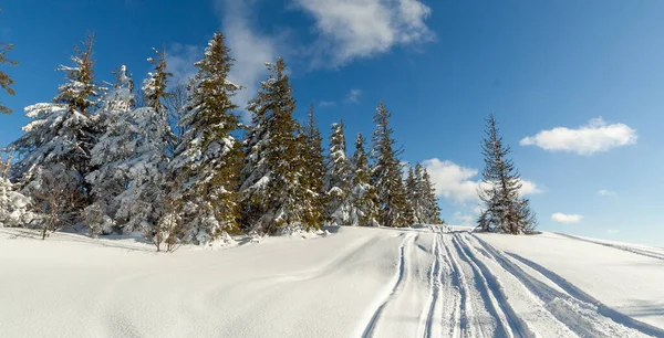 Güneşli bir günde harika bir kış manzarası. Güneş ışığı altında kar kaplı dağlarla kaplı kış manzarası. Popüler yürüyüş ve seyahat yerleri. Kış Harikalar Diyarı. Büyüleyici bir doğa geçmişi var. Karpat Dağları.