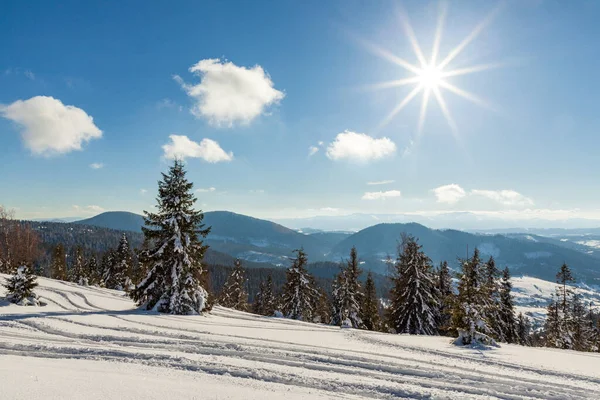 Güneş ışığıyla parlayan görkemli kış manzarası. Kış manzarası. Carpathian, Ukrayna, Avrupa. Güzellik dünyası. Mutlu yıllar.