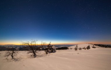 Karla kaplı ağaçlı büyülü kış manzarası. Yıldızlar, nebula ve galaksiyle dolu canlı bir gece göğü. Derin gökyüzü gökyüzü fotoğrafı.