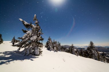 Karla kaplı ağaçlı büyülü kış manzarası. Yıldızlar, nebula ve galaksiyle dolu canlı bir gece göğü. Derin gökyüzü gökyüzü fotoğrafı.