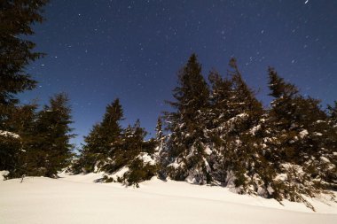 Karla kaplı ağaçlı büyülü kış manzarası. Yıldızlar, nebula ve galaksiyle dolu canlı bir gece göğü. Derin gökyüzü gökyüzü fotoğrafı.