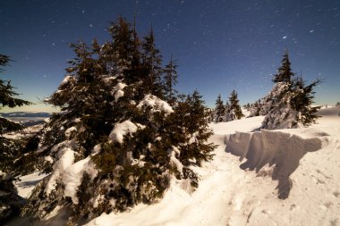 Karla kaplı ağaçlı büyülü kış manzarası. Yıldızlar, nebula ve galaksiyle dolu canlı bir gece göğü. Derin gökyüzü gökyüzü fotoğrafı.