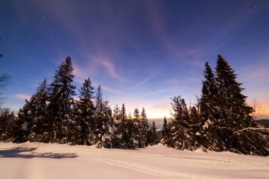 Karla kaplı ağaçlı büyülü kış manzarası. Yıldızlar, nebula ve galaksiyle dolu canlı bir gece göğü. Derin gökyüzü gökyüzü fotoğrafı.
