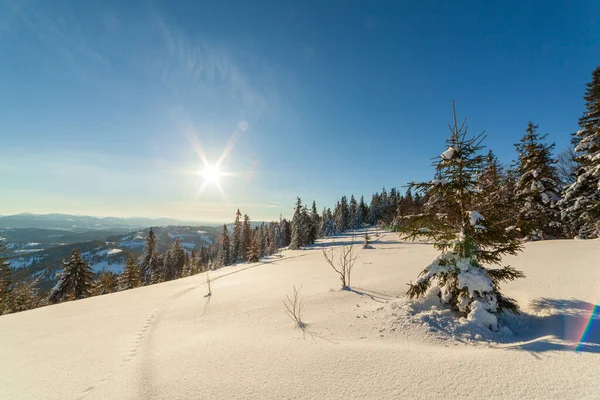 Herrlich majestätische Winterlandschaft, die vom Sonnenlicht erleuchtet wird. winterliche Szene. Karpaten, Ukraine, Europa. Schöne Welt. Frohes neues Jahr — Stockfoto