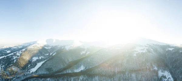 Pemandangan musim dingin dalam kabut dengan salju dan cabang ditutupi dengan embun beku dan salju beku. Foto berkualitas tinggi — Stok Foto