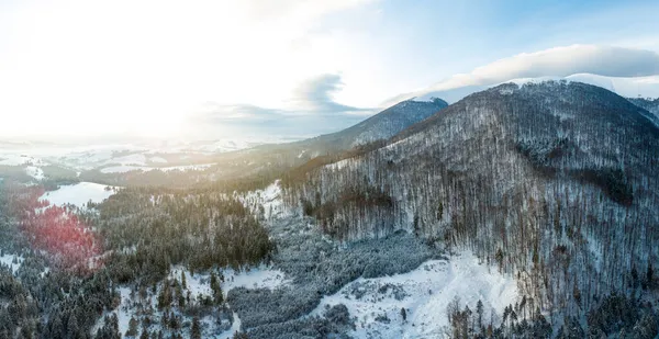 冬日的景色,雾蒙蒙,白雪漫漫,枝条覆盖着白霜和冰冻的白雪.高质量的照片 — 图库照片