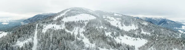 Paisagem de inverno em nevoeiro com neve e ramos cobertos de geada e neve congelada. Foto de alta qualidade — Fotografia de Stock