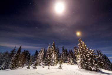 Karla kaplı ağaçlı büyülü kış manzarası. Yıldızlar, nebula ve galaksiyle dolu canlı bir gece göğü. Derin gökyüzü gökyüzü fotoğrafı.