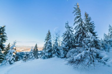 Güneşli bir günde harika bir kış manzarası. Güneş ışığı altında kar kaplı dağlarla kaplı kış manzarası. Popüler yürüyüş ve seyahat yerleri. Kış Harikalar Diyarı. Büyüleyici bir doğa geçmişi var. Karpat Dağları.