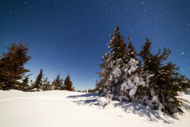 Karla kaplı ağaçlı büyülü kış manzarası. Yıldızlar, nebula ve galaksiyle dolu canlı bir gece göğü. Derin gökyüzü gökyüzü fotoğrafı.