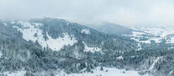 Paisagem de inverno em nevoeiro com neve e ramos cobertos de geada e neve congelada. Foto de alta qualidade — Fotografia de Stock