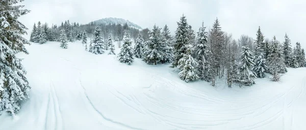 Paisagem de inverno em nevoeiro com neve e ramos cobertos de geada e neve congelada. Foto de alta qualidade — Fotografia de Stock