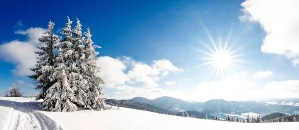 Fantastické Zimní krajina. modrá obloha. Podkarpatská Ukrajina, Evropa. krásy světa — Stock fotografie
