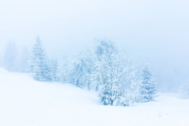 Karla kaplı ağaçlarla kaplı güzel bir kış manzarası. Kış dağları.
