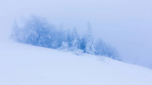 Winterbäume in schneebedeckten Bergen — Stockfoto