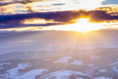 Dağ Kış Manzarası. Çam Ağacı Ormanı Kış Manzarasında Karla kaplı
